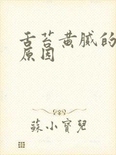 舌苔黄腻的口臭原因