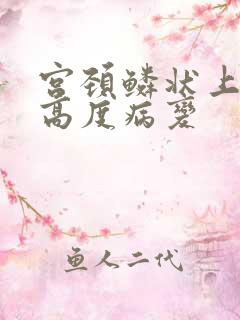 宫颈鳞状上皮 高度病变