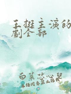 王挺主演的电视剧全部