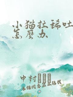 小猫拉稀吐黄水怎么办