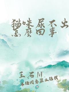 猫咪尿不出尿是怎么回事