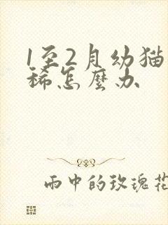 1至2月幼猫拉稀怎么办