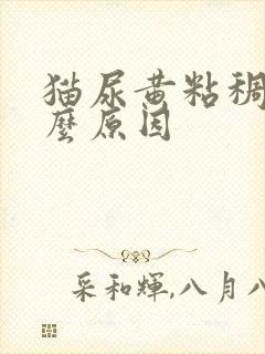 猫尿黄粘稠是什么原因