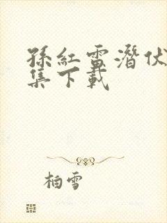 孙红雷潜伏30集下载