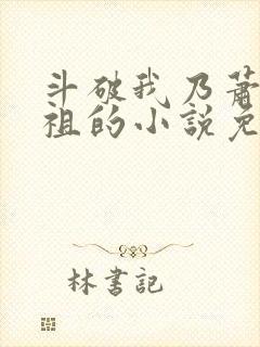 斗破我乃萧家老祖的小说免费观看