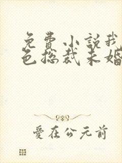 免费小说我的绝色总裁未婚妻