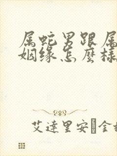 属蛇男跟属蛇女姻缘怎么样