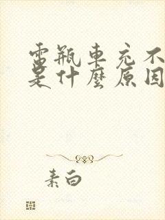 电瓶车充不进电是什么原因