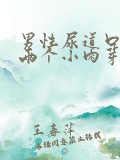 男性尿道口长了两个小肉芽