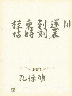 桂东到遂川汽车站时刻表