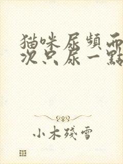 猫咪尿频而且每次只尿一点怎么办