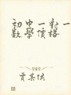 初中一对一补习数学价格