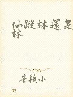 仙踪林还是仙踪林