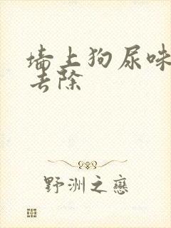 墙上狗尿味怎样去除