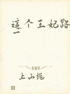 这个王妃路子野一