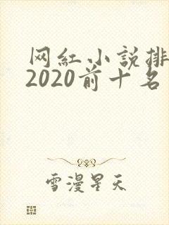 网红小说排行榜2020前十名