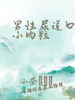 男性尿道口上长小肉粒