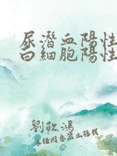 尿潜血阳性,尿白细胞阳性