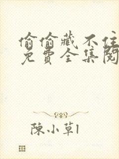 偷偷藏不住漫画免费全集阅读