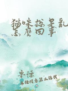 猫咪总是乱尿是怎么回事