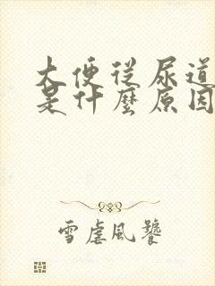 大便从尿道出来是什么原因