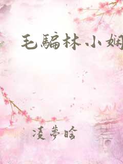 毛骗林小娴