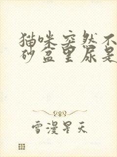 猫咪突然不在猫砂盆里尿是什么原因