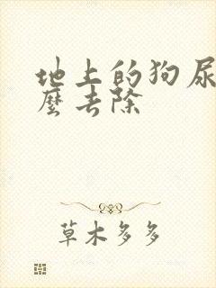 地上的狗尿味怎么去除