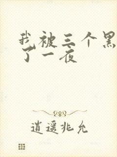 我被三个黑人操了一夜