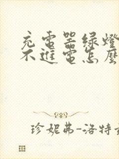 充电器绿灯亮充不进电怎么回事