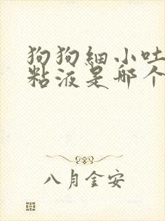 狗狗细小吐白色粘液是哪个阶段