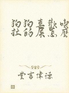 狗狗喜欢吃自己拉的屎怎么办