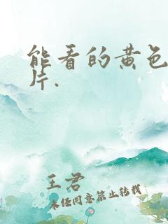 能看的黄色一级片.