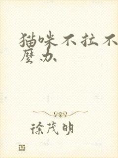 猫咪不拉不尿怎么办