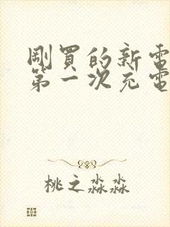 刚买的新电动车第一次充电充多久