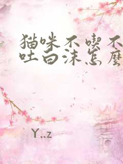 猫咪不吃不喝还吐白沫怎么办