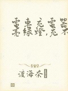 电车充电器一直亮绿灯,充不进电