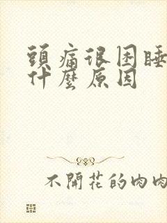 头痛很困睡不着什么原因