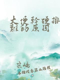 大便干硬排便困难的原因