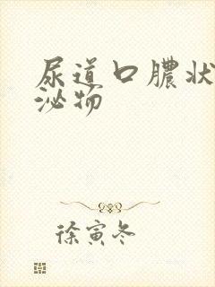 尿道口脓状分分泌物