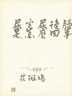 尿完尿后膀胱疼是怎么回事