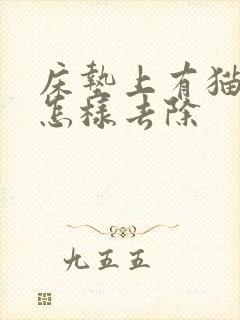 床垫上有猫尿味怎样去除