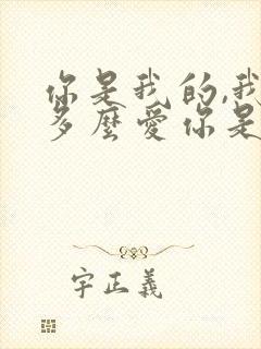 你是我的,我是多么爱你是什么歌名?