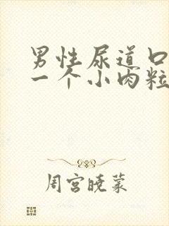 男性尿道口上长一个小肉粒