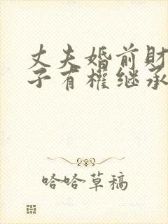 丈夫婚前财产妻子有权继承吗