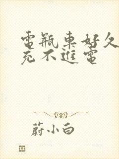 电瓶车好久没骑充不进电