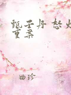 甄子丹 怒火·重案