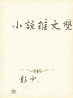 小说推文双女主