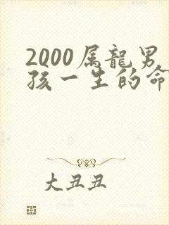 2000属龙男孩一生的命运