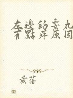 左边的睾丸稍微有点疼原因